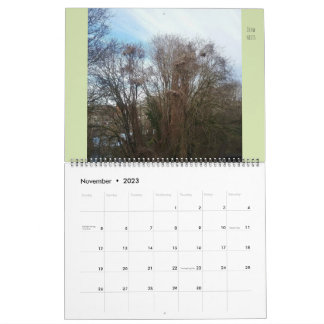 Grote Flora en fauna "Downyland" Kalender