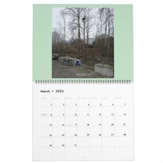 Grote Flora en fauna "Downyland" Kalender (Mar 2026)