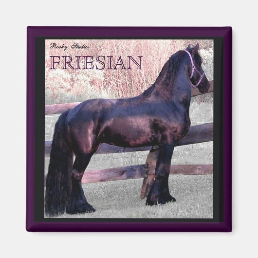 Grote Friese Paardenmagneet 2 Magneet (Voorkant)