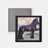 Grote Friese Paardenmagneet Magneet (Voorkant / Achterkant)