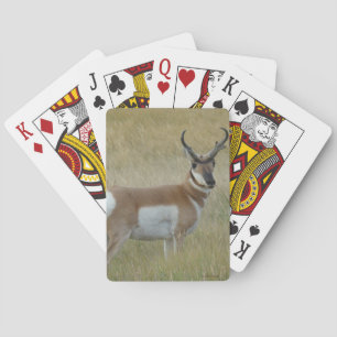 Grote Gaffelbok Ram Pokerkaarten