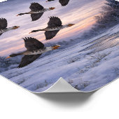 Grote ganzen in de winter –  poster (Hoek)