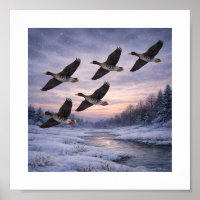Grote ganzen in de winter –