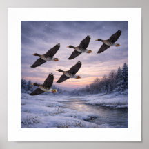 Grote ganzen in de winter – 