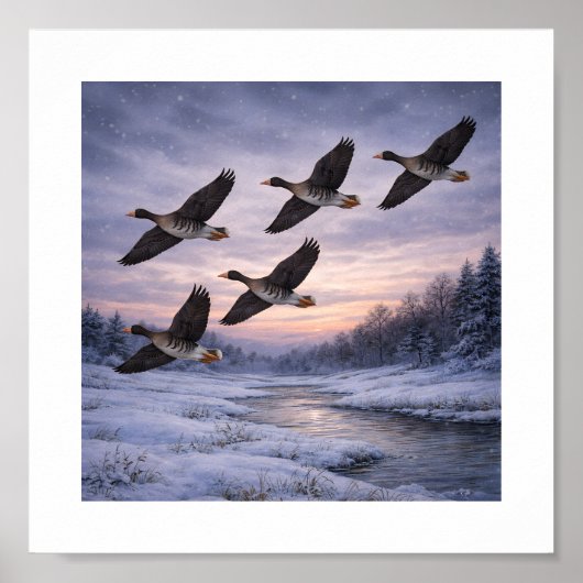 Grote ganzen in de winter –  poster (Voorkant)