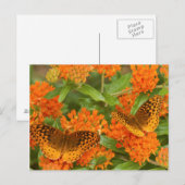 Grote gebogen vrienden op Butterfly Milkweed Briefkaart (Voorkant / Achterkant)