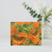 Grote gebogen vrienden op Butterfly Milkweed Briefkaart (Staand voorkant)