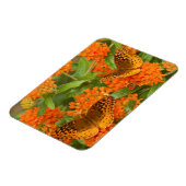 Grote gebogen vrienden op Butterfly Milkweed Magneet (Linkerzijde)