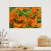 Grote gebogen vrienden op Butterfly Milkweed Poster (Keuken)