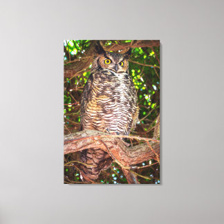 Grote gehoornde uil Canvasprint | Bos-wildlife Canvas Afdruk