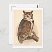 Grote Gehoornde Uil Illustratie Briefkaart (Voorkant / Achterkant)
