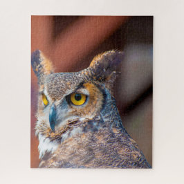 Grote gehoornde uil. legpuzzel