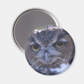 Grote gehoornde Uil magneet (Voorkant / Achterkant)