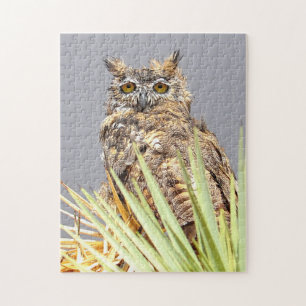 Grote gehoornde uil roofvogel legpuzzel