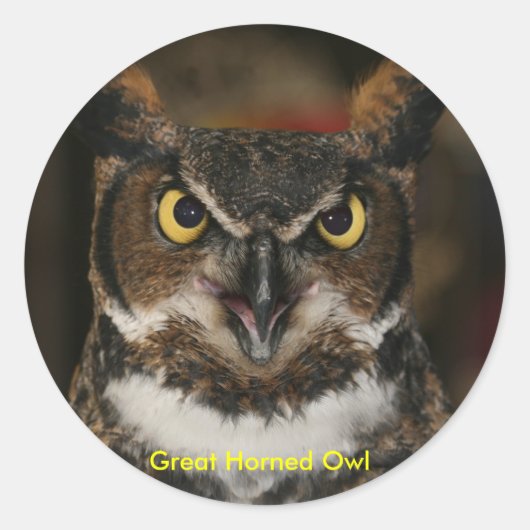 Grote gehoornde uil Stickers (Voorkant)