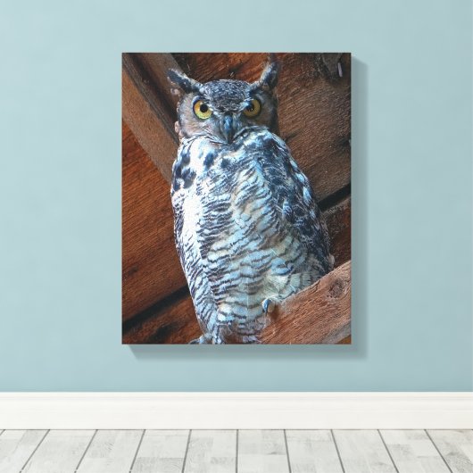 Grote Gehoornde Uil Stretch Canvas Print (Insitu (Houten vloer))