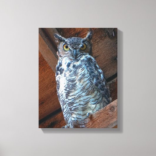Grote Gehoornde Uil Stretch Canvas Print (Voorkant)