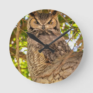 Grote Gehoornde Uil Wandklok Wilde Natuur Decorati