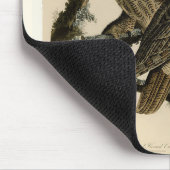 Grote gehoornde uilen (door John James Audubon) Muismat (Hoek)