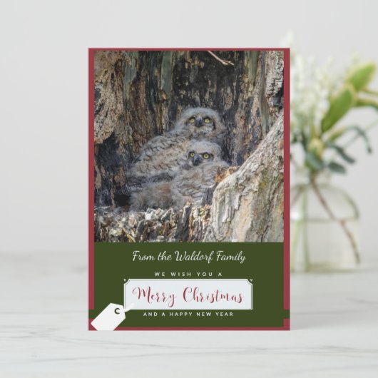 Grote gehoornde uilen kerst Kaart (Staand voorkant)
