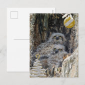 Grote gehoornde uilen kerst Kaart (Voorkant / Achterkant)