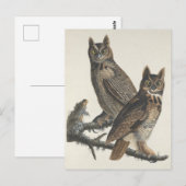 Grote gehoornde uilen Spooky  illustratie Briefkaart (Voorkant / Achterkant)