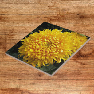 Grote Gele Chrysanthemum Floral Tegeltje