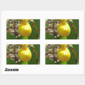 Grote gele dame slipper cypripedium rechthoekige sticker (Vel)