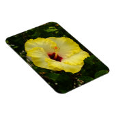 Grote gele hibiscus-ventilator magneet (Rechterzijde)
