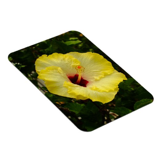 Grote gele hibiscus-ventilator magneet (Rechterzijde)