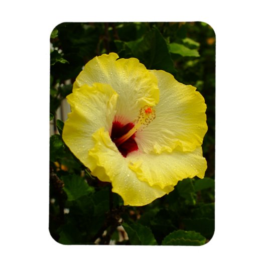 Grote gele hibiscus-ventilator magneet (Verticaal)