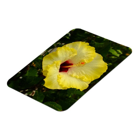 Grote gele hibiscus-ventilator magneet (Linkerzijde)