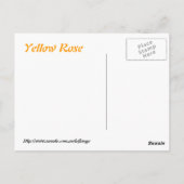 Grote gele rog briefkaart (Achterkant)