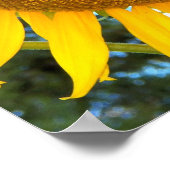 Grote Gele Zonnebloem Bloem Poster (Hoek)