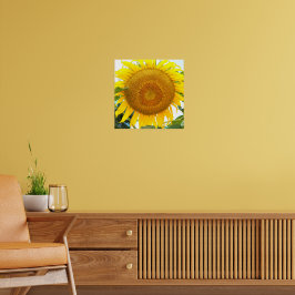 Grote Gele Zonnebloem Bloem Poster