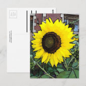 Grote - gele zonnebloem briefkaart (Voorkant / Achterkant)