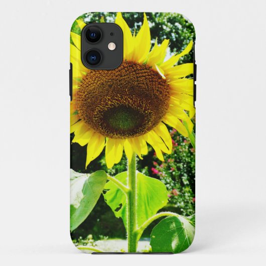 Grote gele zonnebloem Case-Mate iPhone case (Achterkant)