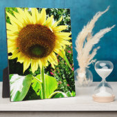 Grote gele zonnebloem fotoplaat (Zijkant)