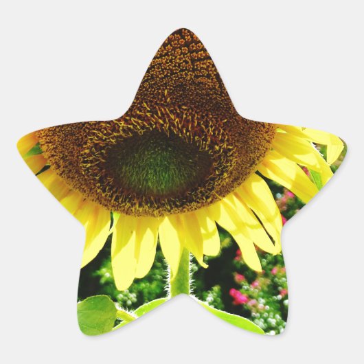 Grote gele zonnebloem ster sticker (Voorkant)