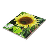 Grote gele zonnebloem tegeltje (Zijkant)