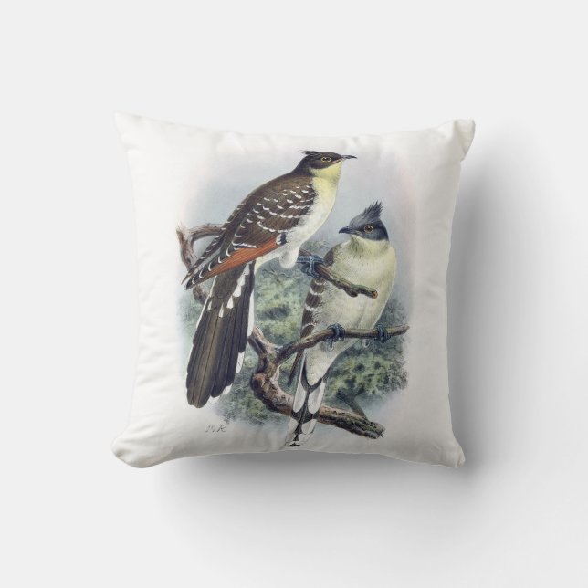 Grote Gevlekte Koekoek Vogel Kussen (Voorkant)