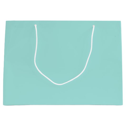 Grote Gift Bag-Solid Aqua Groot Cadeauzakje (Voorkant)