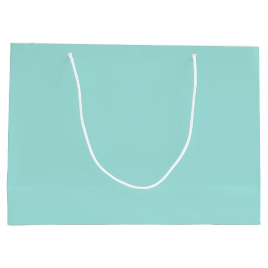 Grote Gift Bag-Solid Aqua Groot Cadeauzakje (Achterkant)