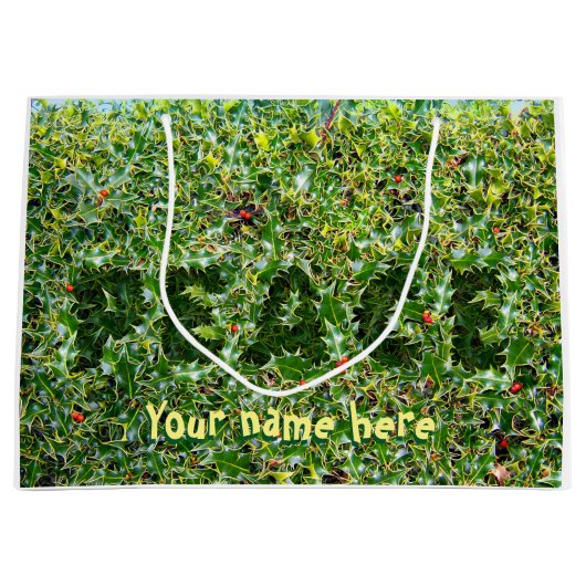 Grote glanzende geschenkzak stekelig Peace Holly Large Cadeautasje (Voorkant)