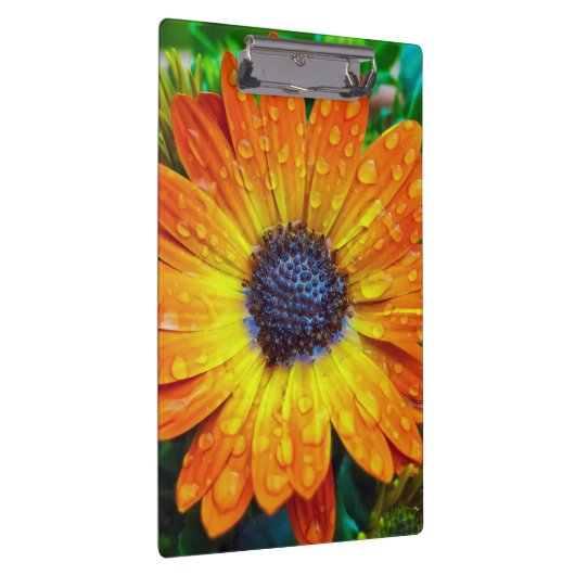 Grote Golden Flower close Klembord (Rechts)