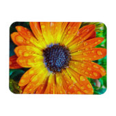 Grote Golden Flower close Magneet (Horizontaal)