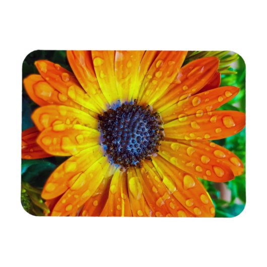 Grote Golden Flower close Magneet (Horizontaal)