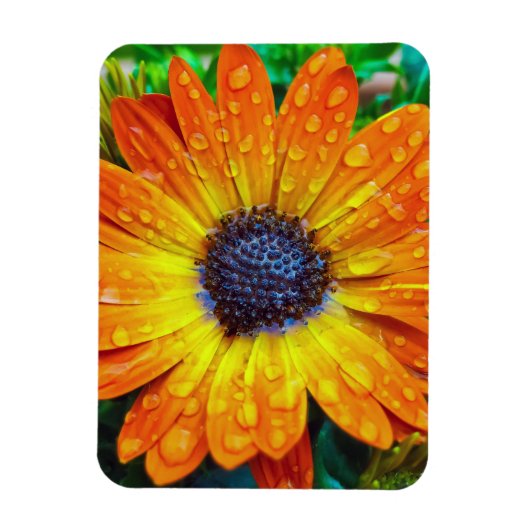 Grote Golden Flower close Magneet (Verticaal)