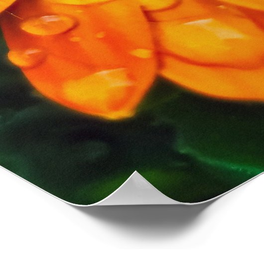 Grote Golden Flower close Poster (Hoek)