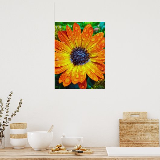Grote Golden Flower close Poster (Keuken)